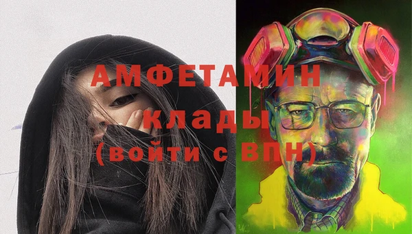 индика Покачи